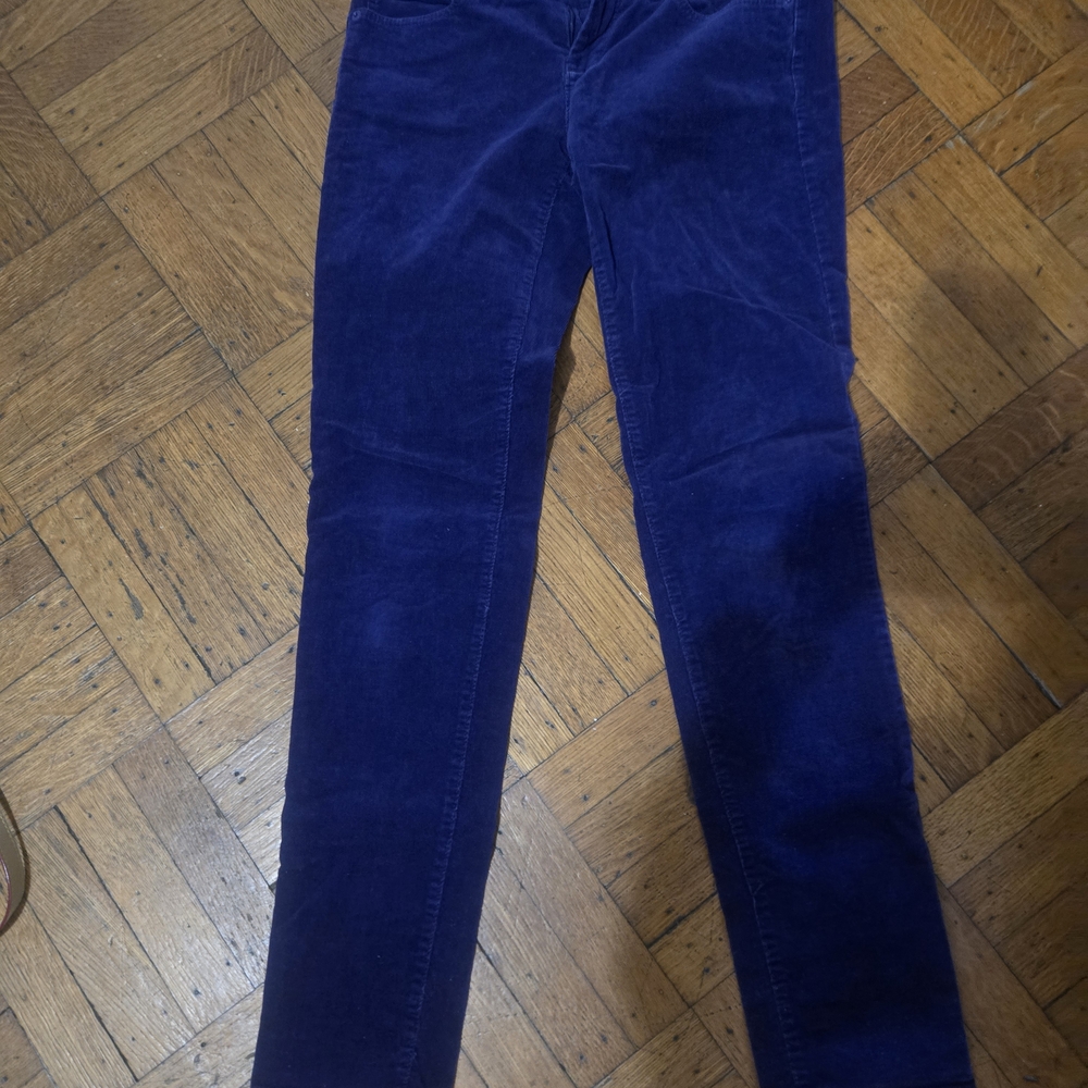 Banana Republic Women's Boot Cut Pants - Deep Blue Purple RYAN FIT SIZE 4 NWOT - Picture 2 of 9